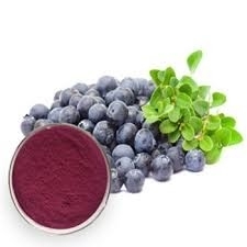 Wild Blueberry Powder 3.3oz