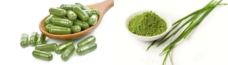  Barley Grass Juice Powder *Capsules